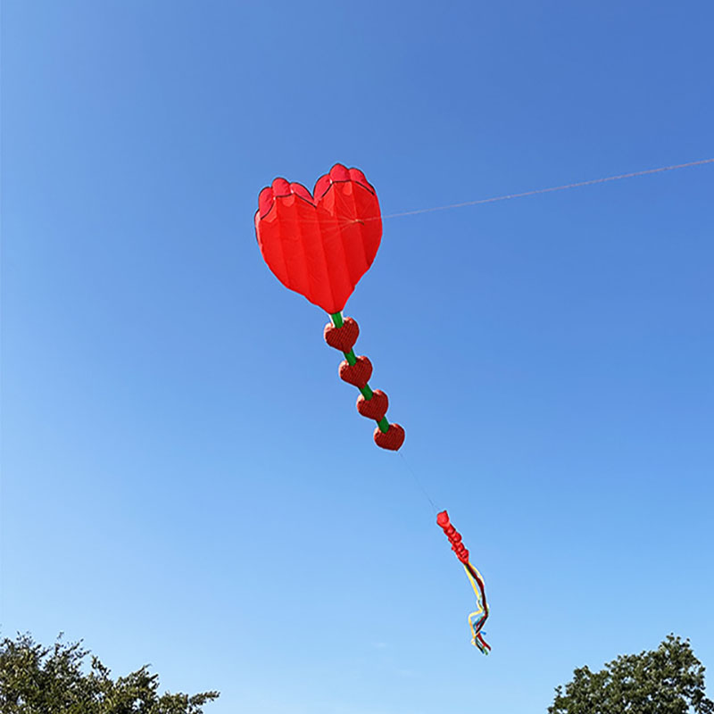 2026 Yeni Kalp Şeklinde Uçurtm - Kids Outdoor Area incelemesi ve fiyatı
